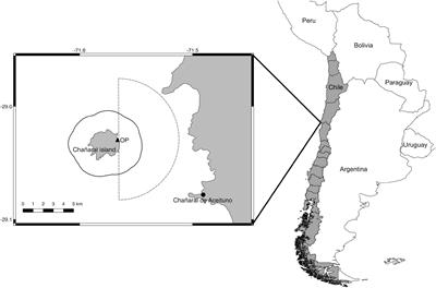 Impacts of Whale-Watching on the Short-Term Behavior of Fin Whales (Balaenoptera physalus) in a Marine Protected Area in the Southeastern Pacific